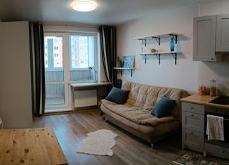 Сдача в аренду квартиры студии, 25 м2, Санкт-Петербург, улица Маршала Тухачевского, 23, улица Маршала Тухачевского