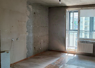 Сдам квартиру студию, 26.9 м2, Санкт-Петербург, Русановская улица, 19к2