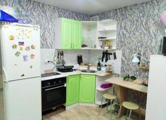 Продажа квартиры студии, 27.5 м2, Новоалтайск, Деповская улица, 58