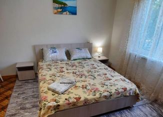 Однокомнатная квартира в аренду, 29 м2, посёлок городского типа Дагомыс, Батумское шоссе, 16