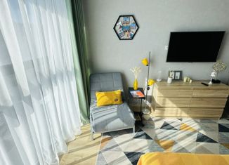 Сдаю 1-комнатную квартиру, 28 м2, Владивосток, Русская улица, 95, Советский район