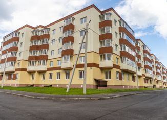 Продается 2-комнатная квартира, 53 м2, городской посёлок Дубровка, улица Томилина, 11
