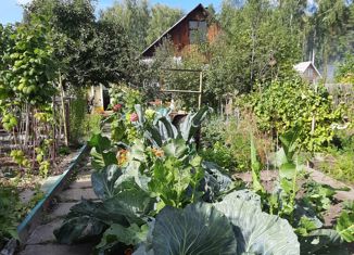 Продаю дом, 20 м2, Снежинск, площадь Ленина