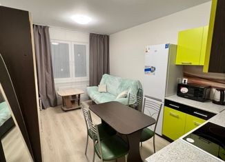 Продается квартира студия, 19.7 м2, посёлок Мичуринский, Майская улица, 70