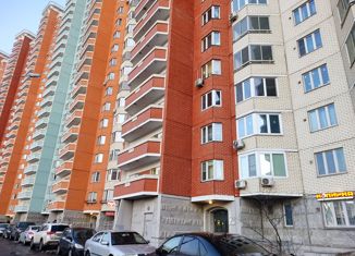 Продам квартиру студию, 20 м2, Москва, Рождественская улица, 33, метро Некрасовка