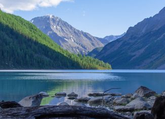 Продаю земельный участок, 10 сот., поселок Черемшанка, Дорожная улица