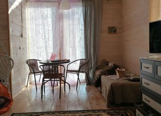 Продаю дом, 32 м2, деревня Ручьи, Центральная улица, 6