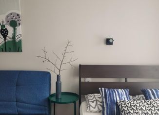 Продам квартиру студию, 25 м2, Екатеринбург, Мраморская улица, 4, ЖК Шишимская Горка