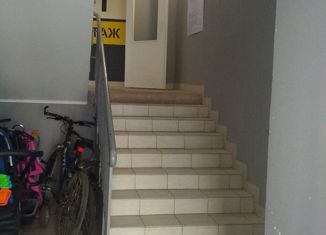 Продается квартира студия, 27 м2, деревня Хохряки, Муромская улица, 1А