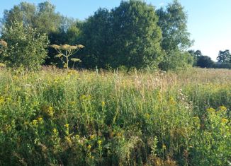 Продажа участка, 12 сот., деревня Лопатино, деревня Лопатино, 27соор4