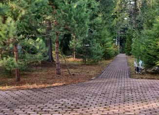 Продам дом, 65 м2, ДНП Ветеран, Сиреневая улица, 20