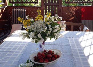 Продается дом, 93 м2, деревня Ленинка, Луговая улица