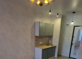 Продажа квартиры студии, 18.1 м2, Нижний Новгород, улица Космонавта Комарова, 7А, Ленинский район