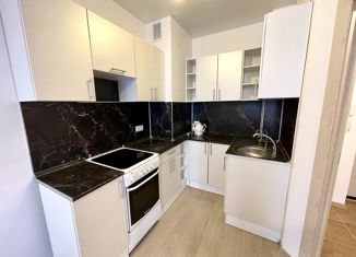 Продажа 1-ком. квартиры, 35.7 м2, деревня Анкудиновка, Русская улица, 9, ЖК КМ Анкудиновский Парк