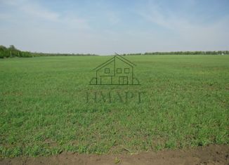 Продаю земельный участок, 10 сот., село Красноярка, Тихая улица