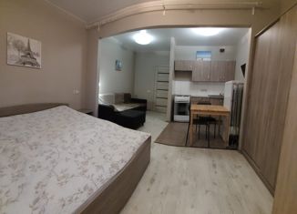 Продаю квартиру студию, 29.5 м2, Реутов, Юбилейный проспект, 63, ЖК Новокосино-2