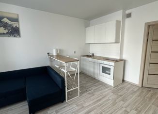 Продам квартиру студию, 31.6 м2, Екатеринбург, улица Крауля, 168В, Верх-Исетский район