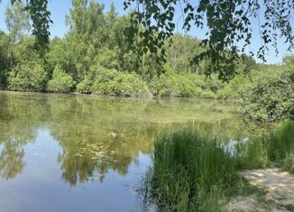 Продажа участка, 12 сот., деревня Липитино, Дорожная улица