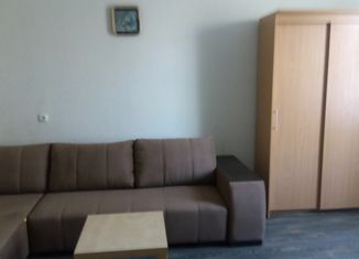 Сдам 1-ком. квартиру, 32.6 м2, Екатеринбург, улица Гагарина, 33, улица Гагарина