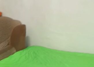 1-комнатная квартира на продажу, 25.6 м2, Лиски, проспект Ленина, 28