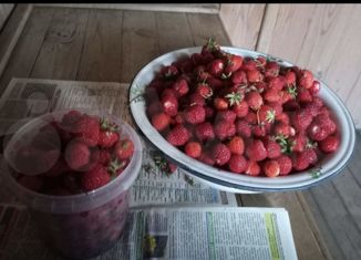 Продажа дома, 35 м2, СНТ Лесное, СНТ Лесное, 195