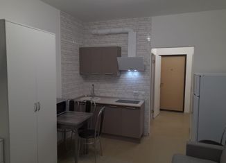 Квартира в аренду студия, 21 м2, Кудрово, Пражская улица, 4