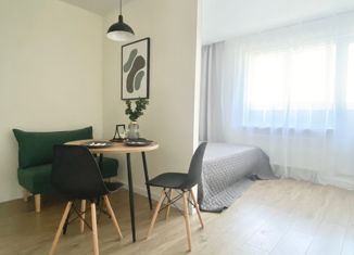 Продаю квартиру студию, 30.5 м2, посёлок Парголово, Заречная улица, 13к1, ЖК На Заречной