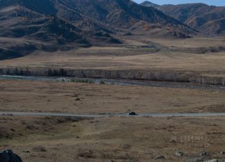 Продается участок, 439 сот., село Куюс, Центральная улица