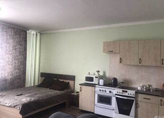 Продается квартира студия, 41 м2, Абакан, улица Кирова, 122