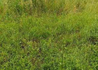 Продается земельный участок, 7 сот., село Кулешовка, Абрикосовая улица