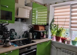 Продаю 3-комнатную квартиру, 58.3 м2, Санкт-Петербург, метро Комендантский проспект, проспект Авиаконструкторов, 33