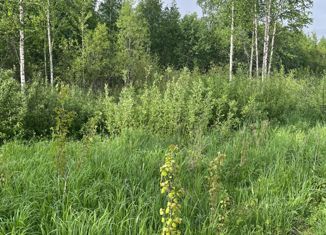 Продажа земельного участка, 14 сот., деревня Нова