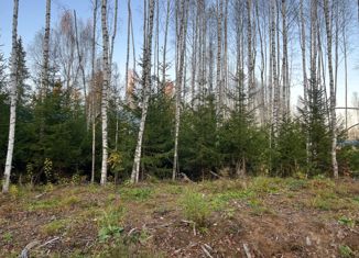 Продам участок, 9.14 сот., деревня Шадрино, коттеджный посёлок Шадрино, 250