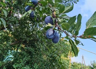 Продается дом, 42 м2, станица Ирклиевская, улица Шевченко, 39