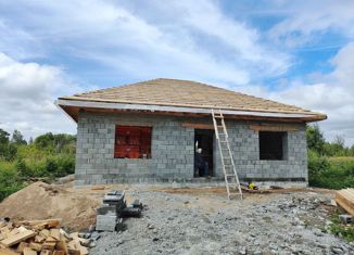 Продажа дома, 100 м2, село Тополево, Цветочная улица