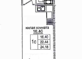 Продается квартира студия, 24 м2, Санкт-Петербург, Планерная улица, 87к1, ЖК Форест Аквилон