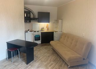 Квартира на продажу студия, 27 м2, Санкт-Петербург, Шуваловский проспект, 74к2, муниципальный округ № 65