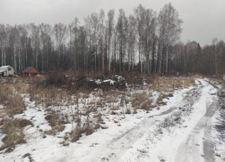 Продам участок, 15 сот., деревня Рябинка, улица Черныховка