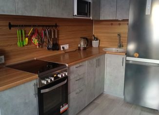 Двухкомнатная квартира на продажу, 49 м2, Новосибирск, улица Дмитрия Шмонина, 1, метро Студенческая