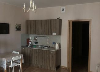 Квартира на продажу студия, 26.7 м2, Петергоф, Парковая улица, 14к1