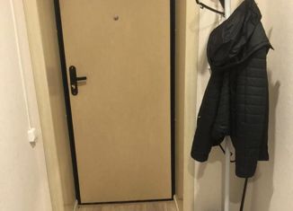 Продажа 1-ком. квартиры, 26.6 м2, рабочий посёлок Дальнее Константиново, улица 40 лет Победы, 7