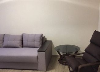 2-ком. квартира на продажу, 42.2 м2, село Орёл-Изумруд, улица Гастелло, 40А