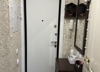 Продаю 1-ком. квартиру, 31.4 м2, Нижний Новгород, улица Спутника, 26, улица Спутника