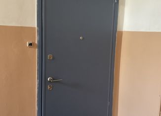Продается двухкомнатная квартира, 55 м2, Нижний Новгород, улица Ефремова, 4, улица Ефремова
