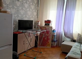 1-комнатная квартира на продажу, 17.3 м2, Сарапул, улица Крылова, 15