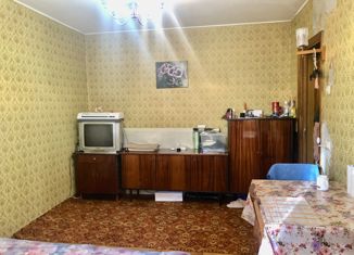 Продажа двухкомнатной квартиры, 44.6 м2, Санкт-Петербург, улица Композиторов, 33к3, метро Парнас