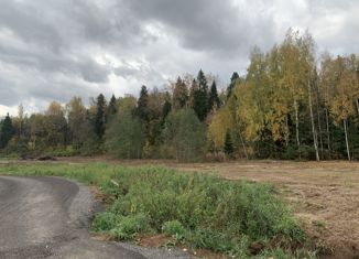 Продажа земельного участка, 10.73 сот., деревня Ваньково, деревня Ваньково, 41