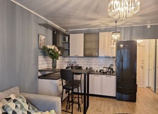 Продаю квартиру студию, 27.4 м2, Колпино, Понтонная улица, 7к2