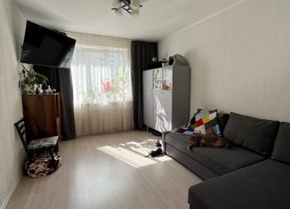 Продам однокомнатную квартиру, 34 м2, Санкт-Петербург, улица Щербакова, 5, метро Озерки