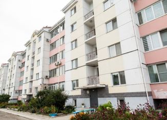 Продается двухкомнатная квартира, 57.3 м2, село Михайловка, Тихоокеанская улица, 58